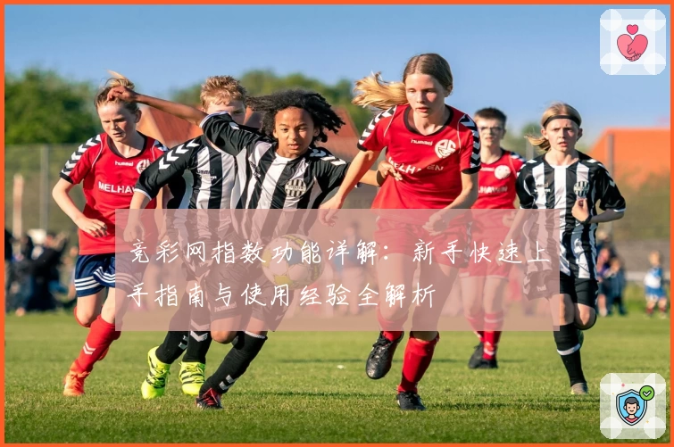竞彩网指数功能详解：新手快速上手指南与使用经验全解析