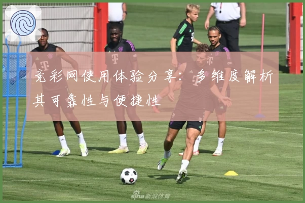 竞彩网使用体验分享：多维度解析其可靠性与便捷性